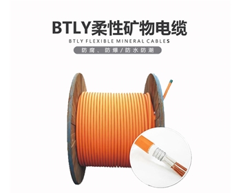 BTLY 礦物電纜 雙菱電纜