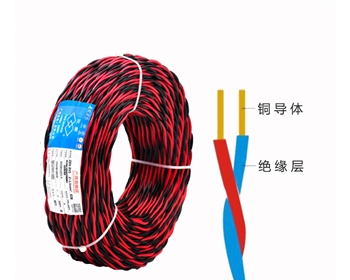 廣州電纜廠 RVS雙絞線